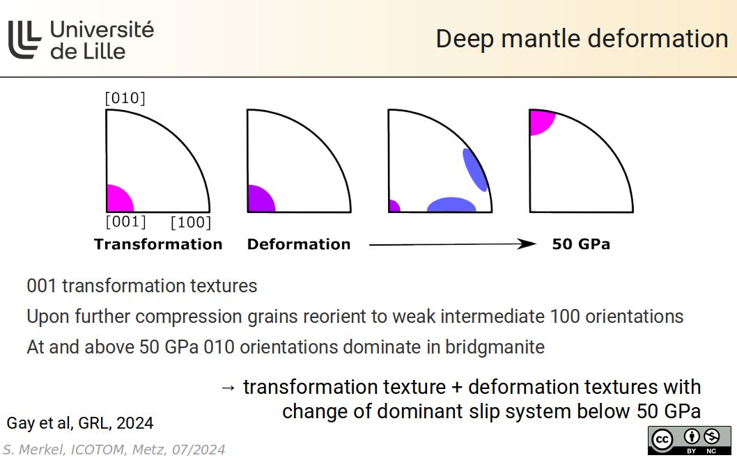 Deep mantle deformation